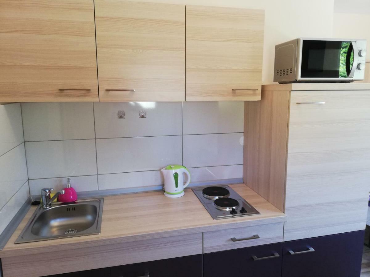 Studio apartman Palmira Ližnjan Exterior foto